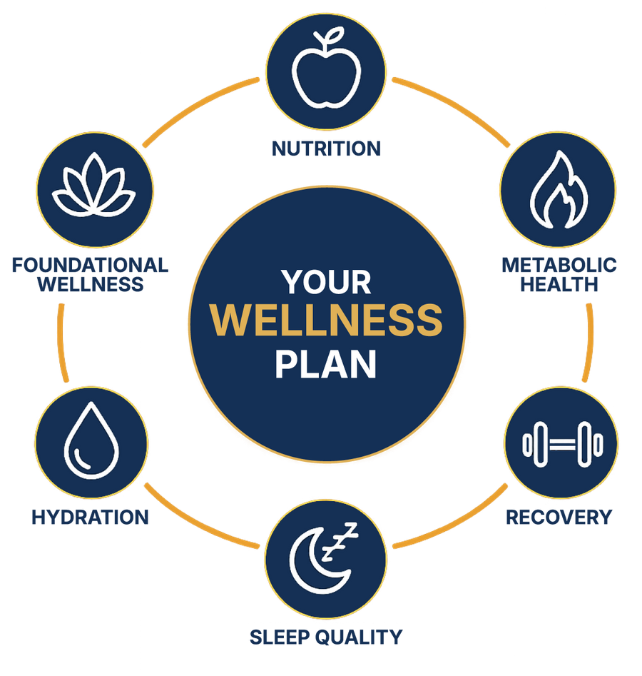 Your Wellness Plan System Diagram